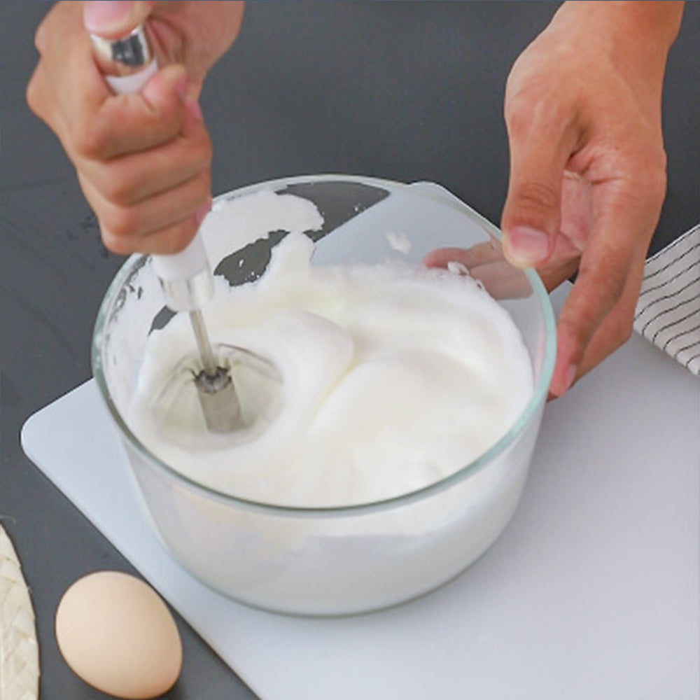 Stainless Steel Egg Beater