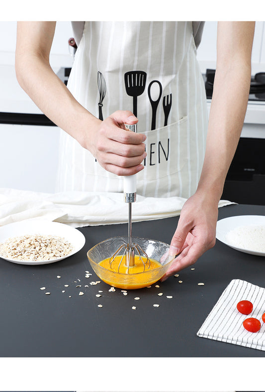 Stainless Steel Egg Beater